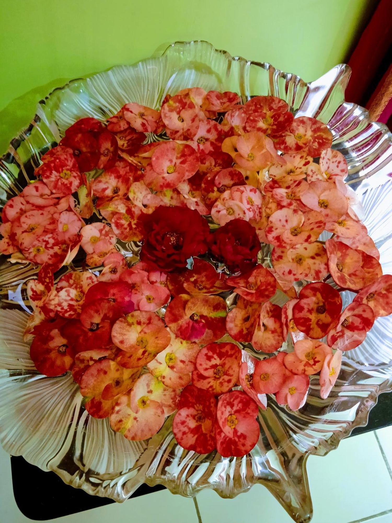Bhoboghure Homestay Santiniketan โบลปูร์ ภายนอก รูปภาพ