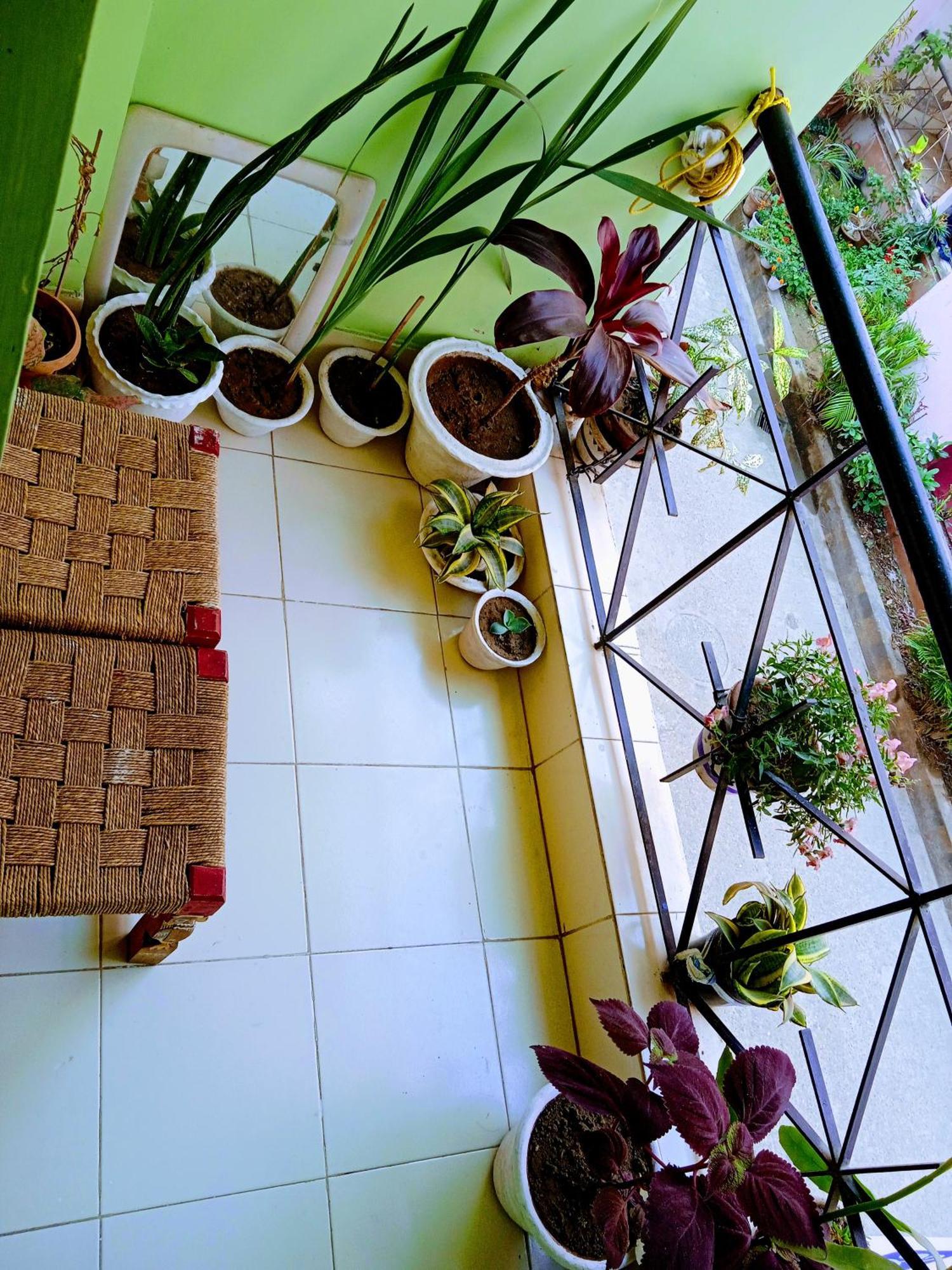 Bhoboghure Homestay Santiniketan โบลปูร์ ภายนอก รูปภาพ