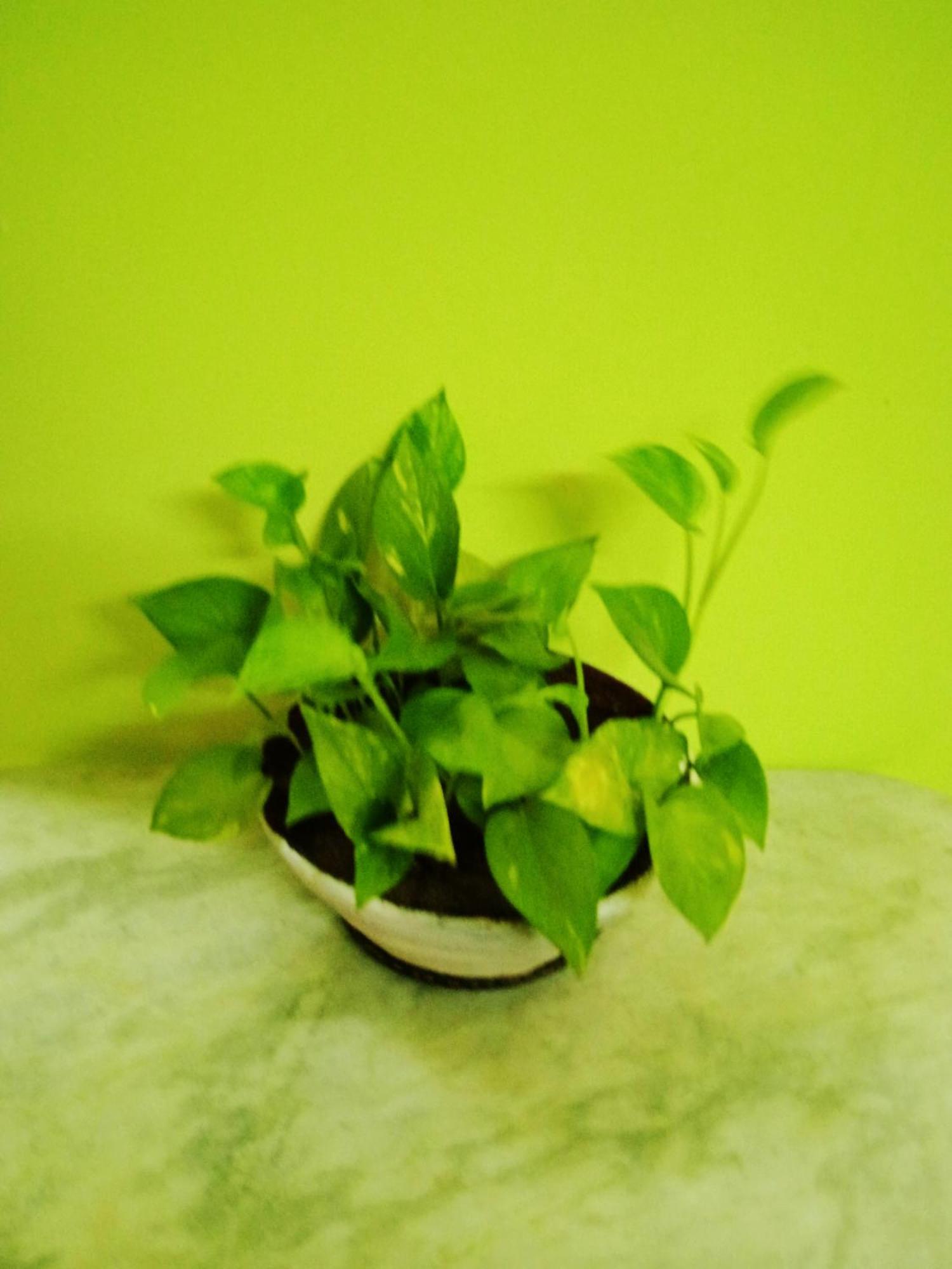 Bhoboghure Homestay Santiniketan โบลปูร์ ภายนอก รูปภาพ